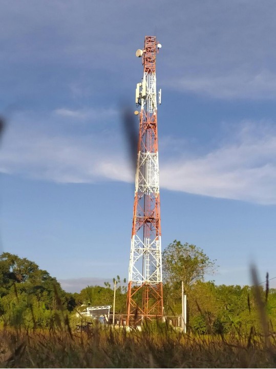 Cliente usando SIMplifica