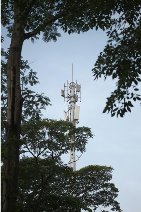 Conservación de datos